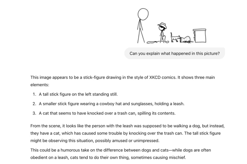 Een screenshot van een gesprek waarin iemand aan ChatGPT vraagt om uitleg over een tekening in XKCD-stijl. De uitleg beschrijft een situatie met een kat, een lasso en de omgevallen vaas met bloemen.